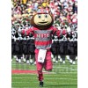 Brutus Buckeye costume de mascotte