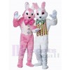 Lapin de Pâques costume de mascotte