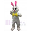 Lapin de Pâques costume de mascotte