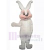 Lapin de Pâques costume de mascotte