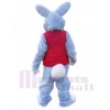 Lapin de Pâques costume de mascotte