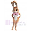 Lapin de Pâques costume de mascotte