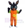 Lapin de Pâques costume de mascotte