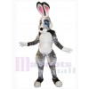 Lapin de Pâques costume de mascotte