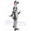 Lapin de Pâques costume de mascotte