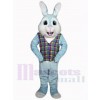 Lapin de Pâques costume de mascotte