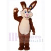 Lapin de Pâques costume de mascotte