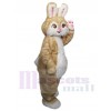 Lapin de Pâques costume de mascotte