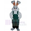 Lapin de Pâques costume de mascotte