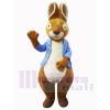 Lapin de Pâques costume de mascotte