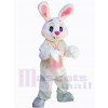 Lapin de Pâques costume de mascotte