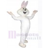 Lapin de Pâques costume de mascotte