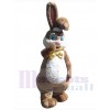 Lapin de Pâques costume de mascotte