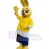 Lapin de Pâques costume de mascotte