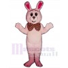 Lapin de Pâques costume de mascotte