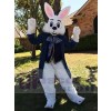 Lapin de Pâques costume de mascotte