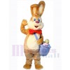 Lapin de Pâques costume de mascotte