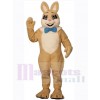 Lapin de Pâques costume de mascotte