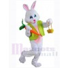 Lapin de Pâques costume de mascotte