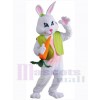 Lapin de Pâques costume de mascotte