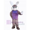 Lapin de Pâques costume de mascotte