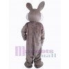 Lapin de Pâques costume de mascotte