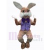 Lapin de Pâques costume de mascotte