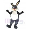 Lapin de Pâques costume de mascotte