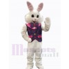 Lapin de Pâques costume de mascotte