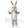 Lapin de Pâques costume de mascotte