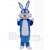 Lapin de Pâques costume de mascotte