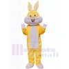 Lapin de Pâques costume de mascotte