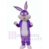 Lapin de Pâques costume de mascotte