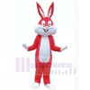 Lapin de Pâques costume de mascotte