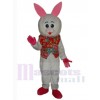 Lapin de Pâques costume de mascotte