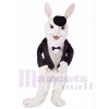 Lapin de Pâques costume de mascotte