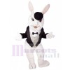 Lapin de Pâques costume de mascotte