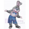 Lapin de Pâques costume de mascotte