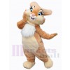 Lapin de Pâques costume de mascotte