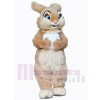 Lapin de Pâques costume de mascotte