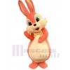 Lapin de Pâques costume de mascotte