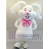 Lapin de Pâques costume de mascotte
