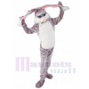 Lapin de Pâques costume de mascotte