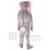Lapin de Pâques costume de mascotte