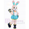 Lapin de Pâques costume de mascotte