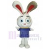 Lapin de Pâques costume de mascotte