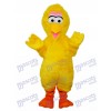 Mascotte de dinde Costume adulte Animal