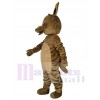 Kangourou costume de mascotte