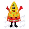 Pizza Mascotte Costume adulte Nourriture