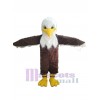 Aigle costume de mascotte